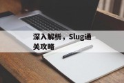 深入解析，Slug通关攻略