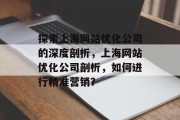 探索上海网站优化公司的深度剖析,上海网站优化公司剖析,如何进行精准营销? 探索上海网站优化公司的深度剖析,上海网站优化公司剖析,如何进行精准营销?