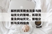 解析网页爬虫流量与网站优化的策略,抓取流量及网站优化,策略分析与实践指南 解析网页爬虫流量与网站优化的策略,抓取流量及网站优化,策略分析与实践指南