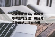 无流量的网站,破解策略与生存之道,破解无流量网站,生存之道 无流量的网站,破解策略与生存之道,破解无流量网站,生存之道