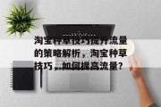 淘宝种草技巧提升流量的策略解析,淘宝种草技巧,如何提高流量? 淘宝种草技巧提升流量的策略解析,淘宝种草技巧,如何提高流量?