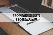 SEO网站搭建的技巧,SEO建站大公开