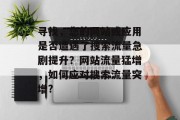 寻找,您的网站或应用是否遭遇了搜索流量急剧提升?网站流量猛增,如何应对搜索流量突增? 寻找,您的网站或应用是否遭遇了搜索流量急剧提升?网站流量猛增,如何应对搜索流量突增?