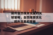 提升自然搜索流量的关键策略,自然搜索优化,提升流量的策略 提升自然搜索流量的关键策略,自然搜索优化,提升流量的策略