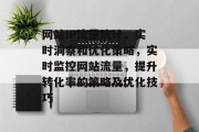 网站IP流量统计，实时洞察和优化策略，实时监控网站流量，提升转化率的策略及优化技巧