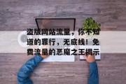 盗版网站流量，你不知道的罪行，无底线！免费流量的恶魔之王揭示