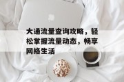大通流量查询攻略，轻松掌握流量动态，畅享网络生活