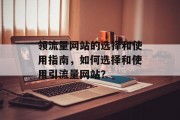 领流量网站的选择和使用指南，如何选择和使用引流量网站？