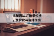 揭秘网站1T流量价格,性价比与选择指南 揭秘网站1T流量价格,性价比与选择指南
