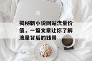 揭秘新小说网站流量价值,一篇文章让你了解流量背后的钱景 揭秘新小说网站流量价值,一篇文章让你了解流量背后的钱景