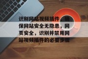 识别网站视频插件，确保网站安全无隐患，网页安全，识别并禁用网站视频插件的必要步骤