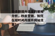 秒杀群提升流量的策略分析,秒杀营销,如何在短时间内提升网站流量?