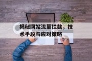 揭秘网站流量拦截，技术手段与应对策略