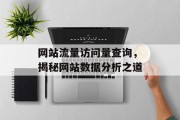 网站流量访问量查询，揭秘网站数据分析之道