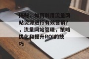 揭秘，如何利用流量网站资源进行有效营销？，流量网站管理，策略优化和提升ROI的技巧