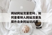 揭秘网站流量密码,如何查看别人网站流量及提升自身网站访问量 揭秘网站流量密码,如何查看别人网站流量及提升自身网站访问量