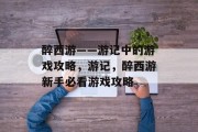 醉西游——游记中的游戏攻略，游记，醉西游新手必看游戏攻略