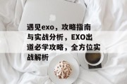 遇见exo,攻略指南与实战分析,EXO出道必学攻略,全方位实战解析 遇见exo,攻略指南与实战分析,EXO出道必学攻略,全方位实战解析