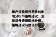 用户流量提升费用的影响分析与策略建议，流量提升费用影响分析，策略建议与优化方法