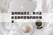 温州网站优化,助力企业互联网营销的隐形推手 温州网站优化,助力企业互联网营销的隐形推手