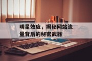 明星效应,揭秘网站流量背后的秘密武器 明星效应,揭秘网站流量背后的秘密武器