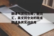 翻译与游戏攻略,新词汇,英文到中文的精准翻译及其实战应用 翻译与游戏攻略,新词汇,英文到中文的精准翻译及其实战应用