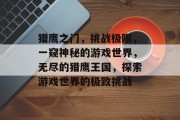 猎鹰之门，挑战极限，一窥神秘的游戏世界，无尽的猎鹰王国，探索游戏世界的极致挑战