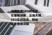 云南大理SEO网站优化策略详解，云南大理SEO实战指南，网站优化策略详解