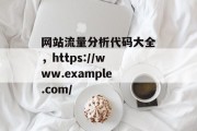 网站流量分析代码大全，https://www.example.com/