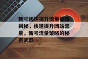 新号快速提升流量策略揭秘，快速提升网站流量，新号流量策略的秘密武器