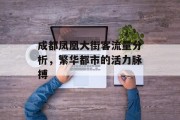 成都凤凰大街客流量分析,繁华都市的活力脉搏 成都凤凰大街客流量分析,繁华都市的活力脉搏