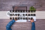 七天高效搜索流量提升技巧分享,七天高效搜寻流量提升秘籍分享
