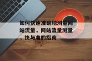 如何快速准确地测量网站流量，网站流量测量，快与准的指南