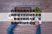 内容优化提升流量:一场数据分析的秘密武器，数据分析的力量，流量提升的秘密武器