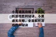 小黑通关攻略,全面解析游戏胜利秘诀,小黑通关攻略,全面解析游戏胜利秘诀 小黑通关攻略,全面解析游戏胜利秘诀,小黑通关攻略,全面解析游戏胜利秘诀