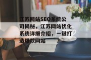 江苏网站SEO系统公司揭秘，江苏网站优化系统详细介绍，一键打造爆款网站