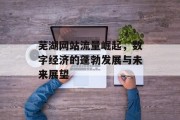 芜湖网站流量崛起,数字经济的蓬勃发展与未来展望 芜湖网站流量崛起,数字经济的蓬勃发展与未来展望