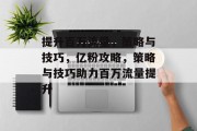 提升百万流量，策略与技巧，亿粉攻略，策略与技巧助力百万流量提升