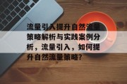 流量引入提升自然流量策略解析与实践案例分析,流量引入,如何提升自然流量策略? 流量引入提升自然流量策略解析与实践案例分析,流量引入,如何提升自然流量策略?