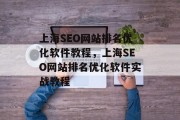 上海SEO网站排名优化软件教程,上海SEO网站排名优化软件实战教程