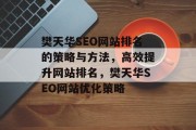 樊天华SEO网站排名的策略与方法，高效提升网站排名，樊天华SEO网站优化策略