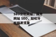 SEO分析网站,提升网站 SEO,轻松分析网页流量 SEO分析网站,提升网站 SEO,轻松分析网页流量