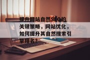 提升网站自然SEO的关键策略,网站优化,如何提升其自然搜索引擎排名? 提升网站自然SEO的关键策略,网站优化,如何提升其自然搜索引擎排名?