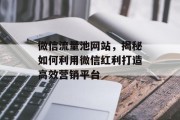 微信流量池网站,揭秘如何利用微信红利打造高效营销平台 微信流量池网站,揭秘如何利用微信红利打造高效营销平台
