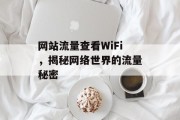 网站流量查看WiFi，揭秘网络世界的流量秘密