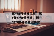 蓝V如何提升流量，蓝V优化流量策略，提升SEO排名的关键步骤