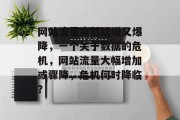 网站流量突然猛增又爆降，一个关于数据的危机，网站流量大幅增加或骤降，危机何时降临？