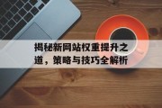 揭秘新网站权重提升之道，策略与技巧全解析