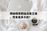 揭秘搜索网站流量之谜，究竟是多少兆？