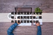 咸鱼提升流量的关键策略，咸鱼网络营销，提升流量关键策略分析